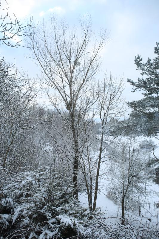 n_170116_wint8470.jpg