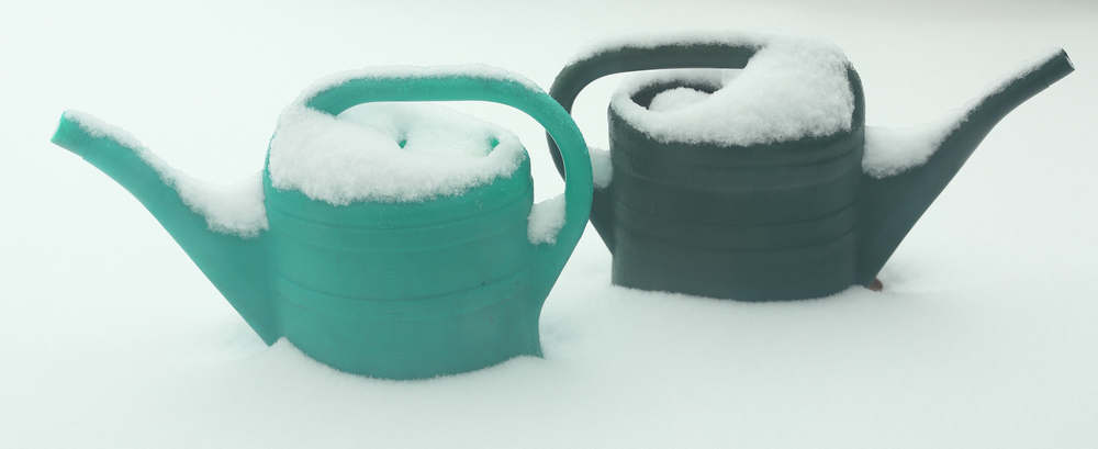 n_190126_giesskannenwinter.jpg