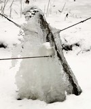 190126 Teichpinguin.jpg