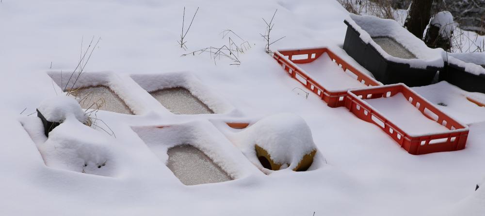 n_210208_schneegarten.jpg