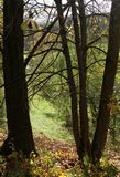 211023 Herbstbild.jpg