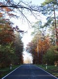 211109 HerbstlichKreisstrasse.jpg